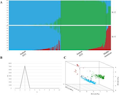 GWAS of resistance to three bacterial diseases in the Andean common bean diversity panel